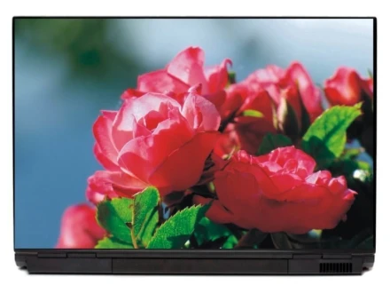 Naklejka na laptopa róże P158