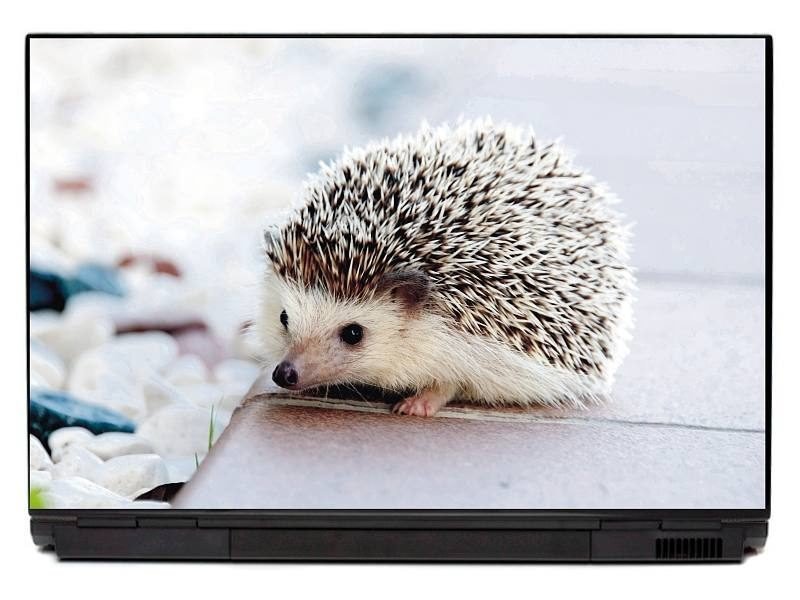 Naklejka na laptopa jeż P215