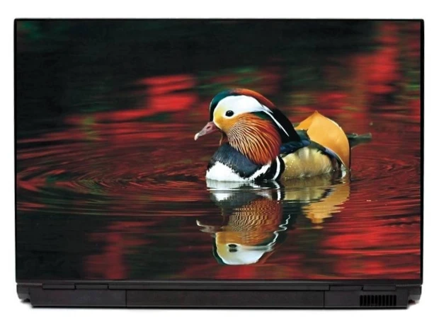 Naklejka na laptopa z kolorową kaczka mandarynką pływającą po ciemnej wodzie z czerwonymi refleksami