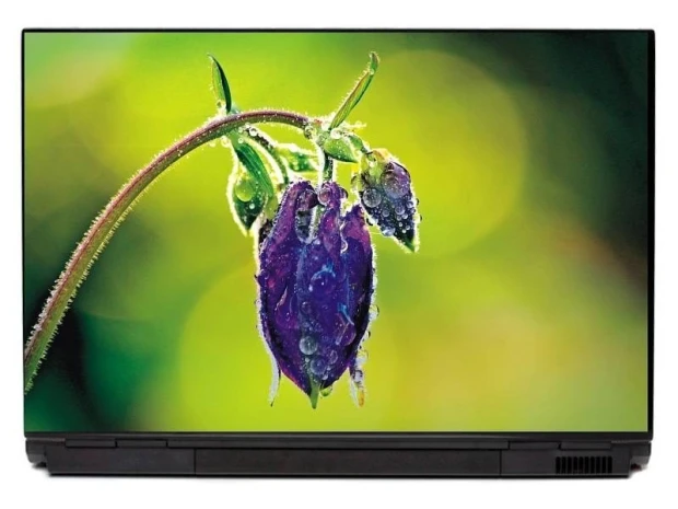 Naklejka na obudowę laptopa z nadrukiem fioletowego kwiatu z kroplami rosy na zielonym tle