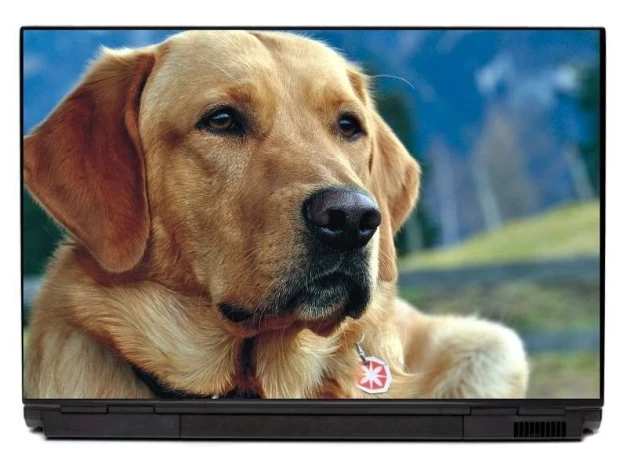 Naklejka na laptopa pies P188 - Wzór graficzny. Przedstawia psa z brązową sierścią, skupionym spojrzeniem