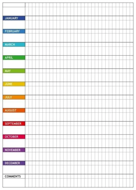Tablica suchościeralna lean planer roczny angielski 041 - Wzór graficzny. Siatka z nazwami miesięcy i kolorowymi paskami