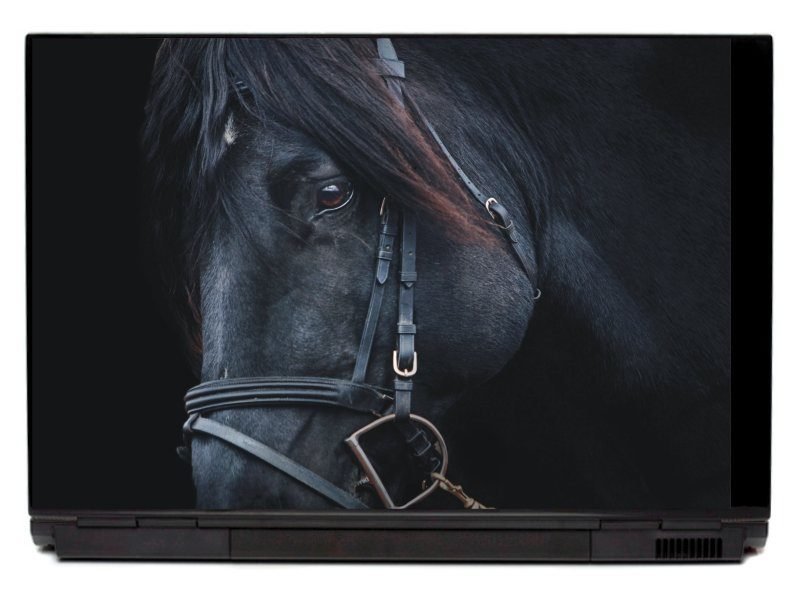 Naklejka na laptopa czarny koń P251
