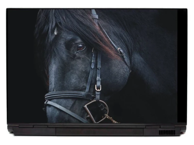 Naklejka na laptopa czarny koń P251 - Wzór graficzny. Grafika przedstawia czarnego konia z widoczną grzywą i oczami