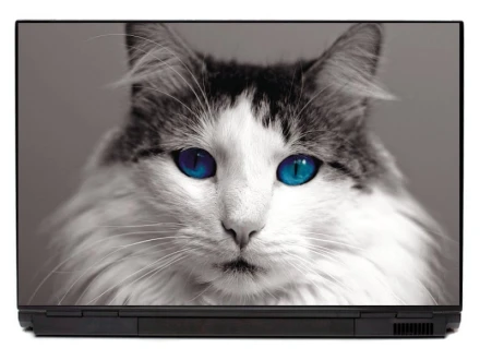 Naklejka na laptopa kot P314