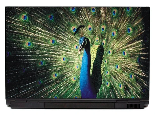 Naklejka na laptopa paw P321 - Wzór graficzny. Paw z rozpostartym ogonem w intensywnych kolorach na tle