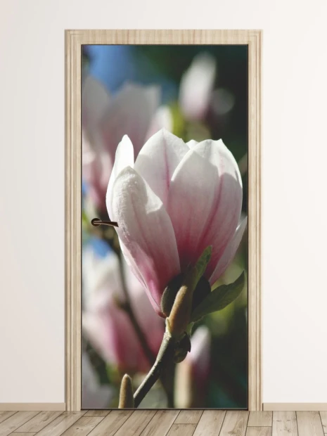 Fototapeta na drzwi z nadrukiem zbliżenia na jasnoróżowy kwiat magnolii w ujęciu prezentującym gotowe wdrożenie
