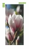 Fototapeta na drzwi magnolia P45 - Wzór graficzny. Kwiat magnolii w odcieniach różu i bieli na tle zielonych liści