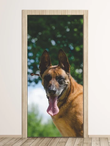 Fototapeta na drzwi pies Malinois P50 - Wzór graficzny. Grafika przedstawia psa Malinois z wyraźnym uśmiechem, w tle zieleń