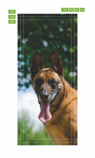 Fototapeta na drzwi z psem rasy Malinois w formie infografiki pokazującej linie docięcia do wymiaru