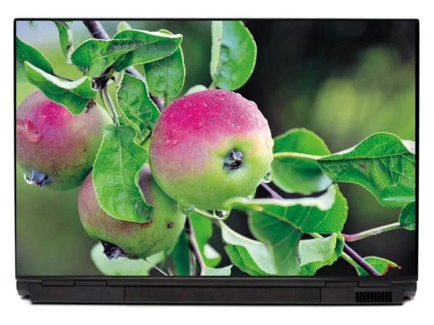 Naklejka na laptopa jabłka na jabłoni P400 - Wzór graficzny. Trzy jabłka na gałęzi z zielonymi liśćmi, woda spływa po