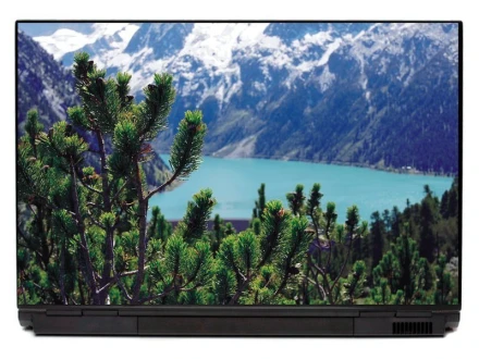 Naklejka na laptopa kosodrzewina P442