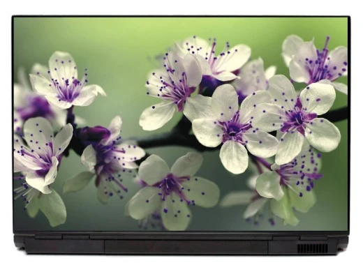 Naklejka na laptopa z nadrukiem białych i fioletowych kwiatów orchidei na jasnozielonym tle
