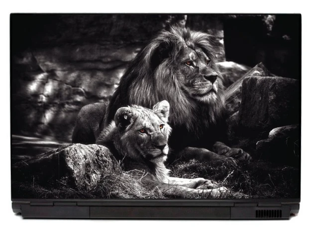 Naklejka na laptopa para lwów P361 - Wzór graficzny. Dwa lwy w naturalnym otoczeniu, jeden większy, drugi mniejszy