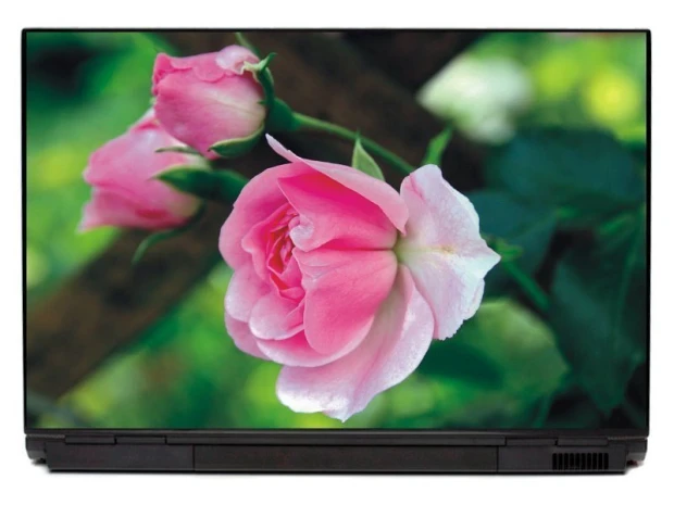 Naklejka na laptopa z fotograficznym nadrukiem różowych róż na zielonym, rozmytym tle