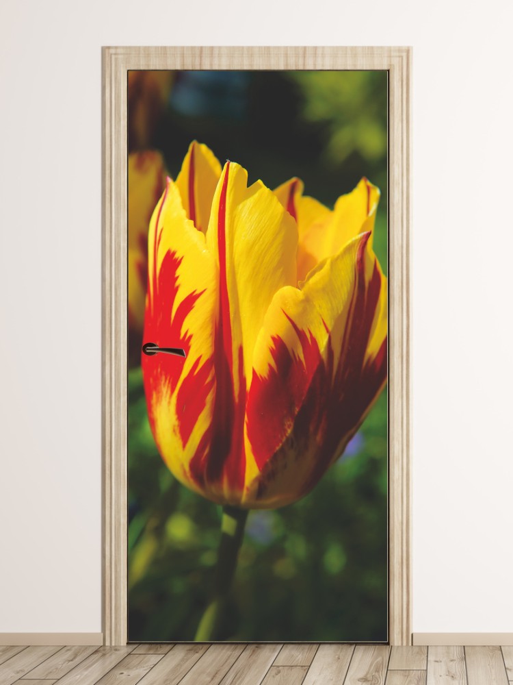 Fototapeta na drzwi czerwono żółty tulipan P24