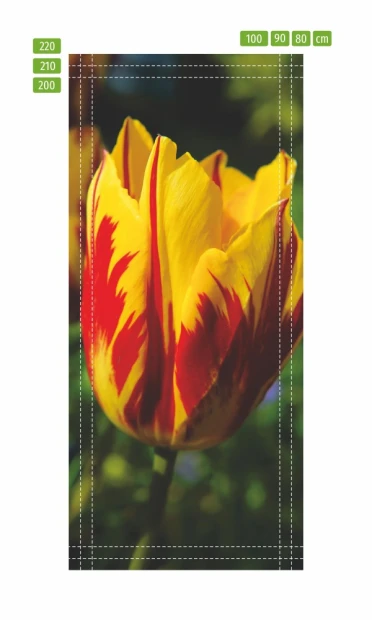 Fototapeta na drzwi czerwono żółty tulipan P24 - Wzór graficzny. Tulipan o intensywnych czerwonych i żółtych płatkach
