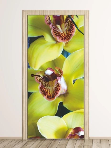 Fototapeta na drzwi orchidea P37 - Wzór graficzny. Żółte kwiaty orchidei z brązowymi plamkami na płatkach