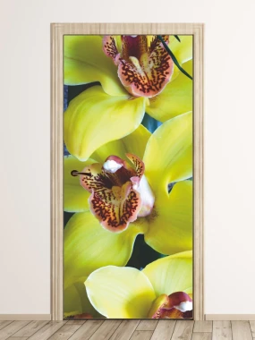 Fototapeta na drzwi orchidea P37 - Wzór graficzny. Żółte kwiaty orchidei z brązowymi plamkami na płatkach