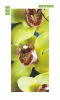 Fototapeta na drzwi orchidea P37 - Wzór graficzny. Grafika przedstawia żółte kwiaty orchidei z brązowymi plamkami