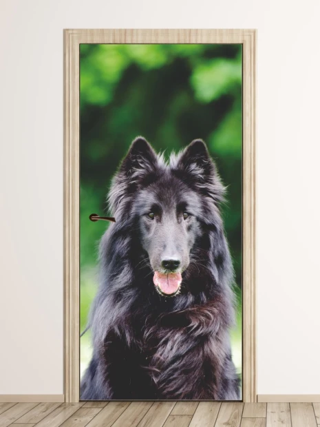 Fototapeta na drzwi pies Groenendael P28 - Aranżacja w jasnym pomieszczeniu. Ściany w odcieniach zieleni
