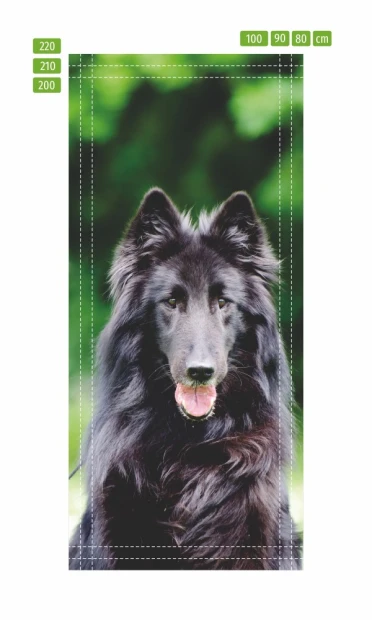Fototapeta na drzwi pies Groenendael P28 - Wzór graficzny. Grafika przedstawia czarnego psa z długą sierścią na tle