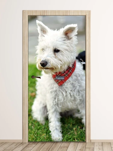 Fototapeta na drzwi pies P23