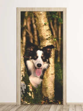 Fototapeta na drzwi pies w lesie P6 - Aranżacja w nowoczesnym wnętrzu. Ściany w jasnych odcieniach, naturalne drewno
