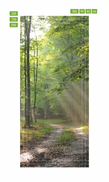 Fototapeta na drzwi las P87 - Wzór graficzny. Przedstawia leśną ścieżkę z drzewami i promieniami słońca