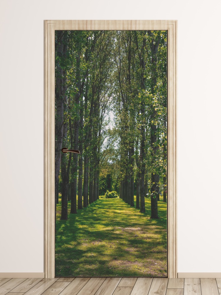 Fototapeta na drzwi rząd drzew P68