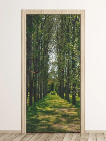 Fototapeta na drzwi rząd drzew P68 - Aranżacja w jasnym pomieszczeniu. Ściany w odcieniu beżowym, podłoga drewniana