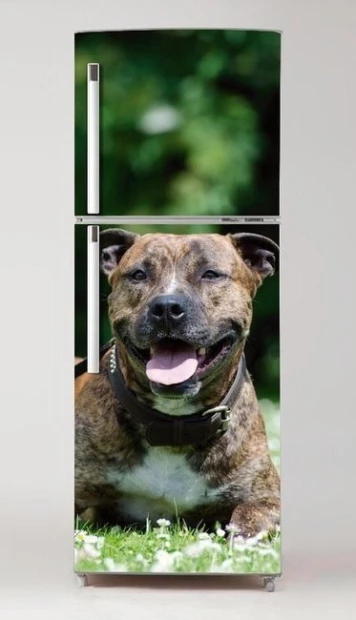 Okleina na lodówkę naklejka Amerykański staffordshire terier P3 - Wzór graficzny. Grafika przedstawia psa leżącego