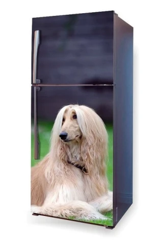 Okleina na lodówkę naklejka pies w trawie P1 - Wzór graficzny. Grafika przedstawia psa siedzącego na trawie, z długą