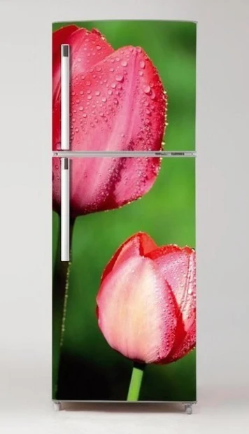 Okleina na lodówkę naklejka tulipany P8 - Wzór graficzny. Dwa tulipany w odcieniach różu na zielonym tle
