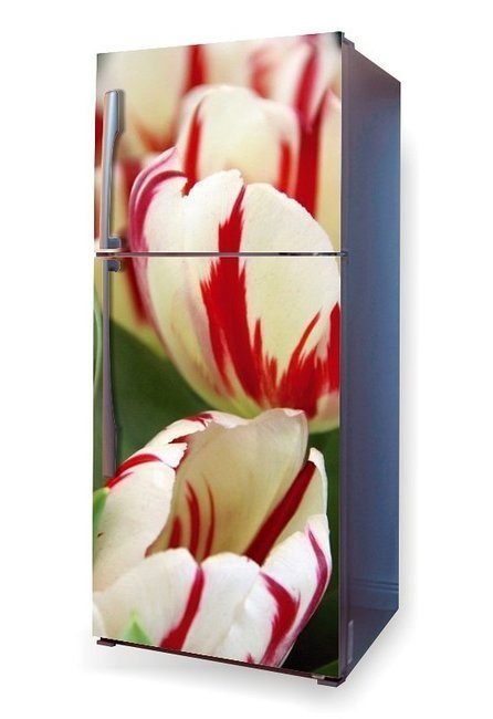 Okleina na lodówkę naklejka tulipany P9