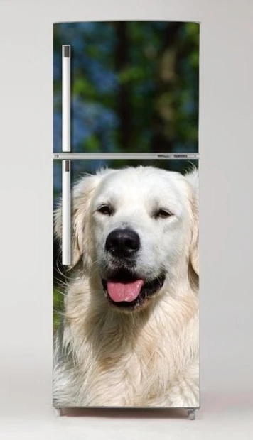 Okleina na lodówkę naklejka Golden retriever pies P27 - Aranżacja w kuchni. Ściany w jasnych kolorach, nowoczesne meble