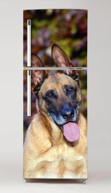 Okleina na lodówkę naklejka pies Malinois P52 - Wzór graficzny. Grafika przedstawia psa rasy Malinois z wyraźnymi detalami