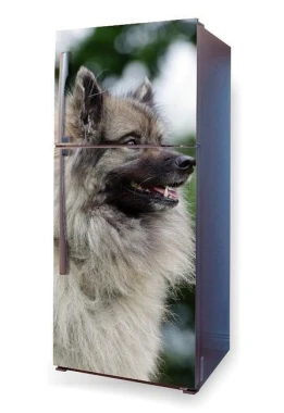 Okleina na lodówkę naklejka pies Keeshond P49 - Wzór graficzny. Grafika przedstawia psa Keeshonda w profilu, z wyraźnym