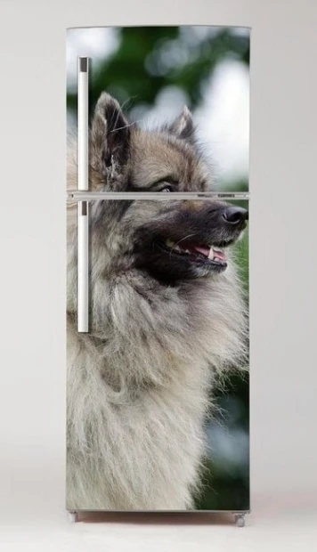 Okleina na lodówkę naklejka pies Keeshond P49 - Wzór graficzny. Grafika przedstawia psa Keeshonda w profilu, z wyraźnym