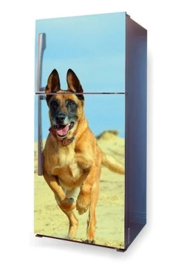 Okleina na lodówkę naklejka biegnący pies Malinois P39 - Wzór graficzny. Pies w ruchu na tle piasku i nieba