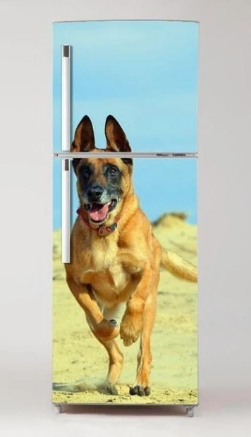 Okleina na lodówkę naklejka biegnący pies Malinois P39 - Wzór graficzny. Pies biegnący na tle plaży, z wyraźnymi detalami