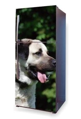 Okleina na lodówkę naklejka pies Kangal P48 - Aranżacja w kuchni. Lodówka z grafiką psa w naturalnych kolorach