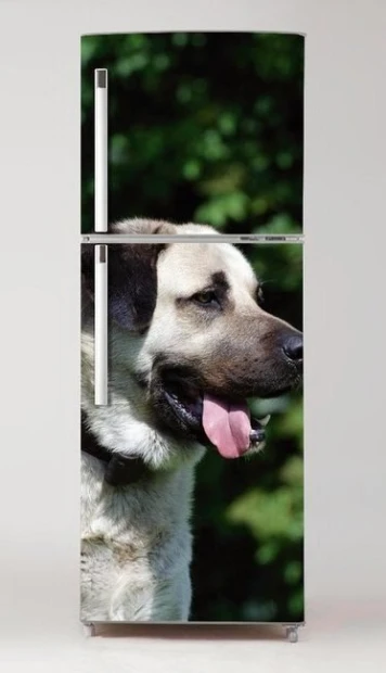 Okleina na lodówkę naklejka pies Kangal P48 - Aranżacja w kuchni. Ściany w jasnych kolorach, nowoczesne meble