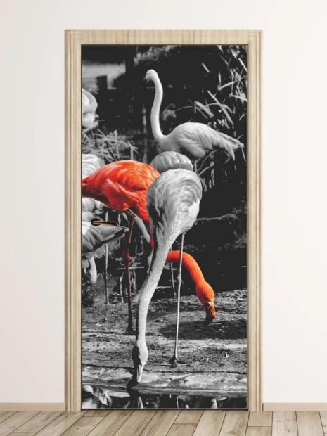 Fototapeta na drzwi flamingi P138 - Wzór graficzny. Grafika przedstawia flamingi w odcieniach szarości z jednym