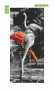 Fototapeta na drzwi flamingi P138 - Wzór graficzny. Flamingi w różnych pozach, część w kolorze szaro-białym, jeden