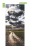Fototapeta na drzwi droga P498 - Wzór graficzny. Droga prowadząca przez zielone pole pod dramatycznym niebem z chmurami