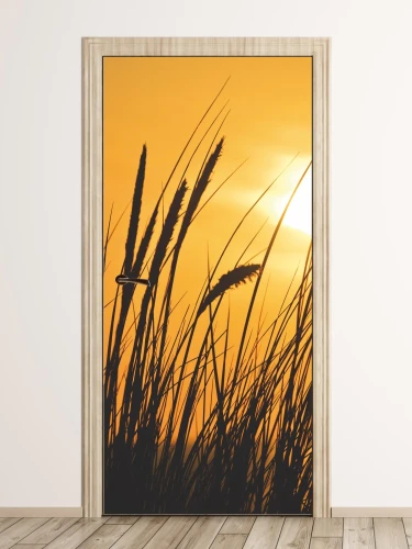 Fototapeta na drzwi trawy P493
