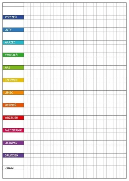 Magnetyczna tablica suchościeralna lean 040 planer roczny - Wzór graficzny. Siatka z nazwami miesięcy w kolorowych