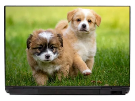 Naklejka na laptopa małe pieski P503