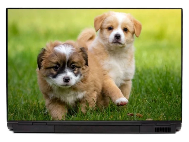 Naklejka na laptopa małe pieski P503 - Wzór graficzny. Dwa małe pieski na zielonej trawie, jeden z białym i brązowym futrem